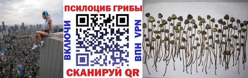 Псилоцибиновые грибы MAGIC MUSHROOMS  Артёмовский 